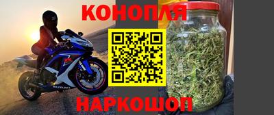 стаф Пугачёв