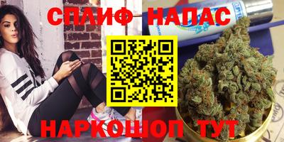 стаф Пугачёв